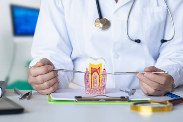 Best Urgent Tooth Repair  in Venersborg, WA